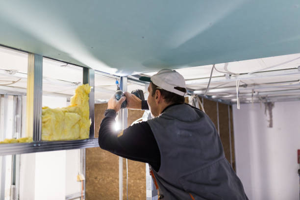 Best Local Insulation Services  in Hickory Hls, IL